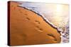 Beach, Wave And Footsteps At Sunset Time-Hydromet-Stretched Canvas