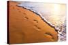 Beach, Wave And Footsteps At Sunset Time-Hydromet-Stretched Canvas