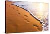 Beach, Wave And Footsteps At Sunset Time-Hydromet-Stretched Canvas