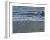 Beach Waver-Bruce Dumas-Framed Giclee Print