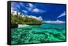 Beach with Coral Reef on South Side of Upolu, Samoa Islands-Martin Valigursky-Framed Stretched Canvas