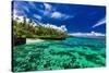 Beach with Coral Reef on South Side of Upolu, Samoa Islands-Martin Valigursky-Stretched Canvas