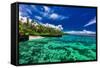 Beach with Coral Reef on South Side of Upolu, Samoa Islands-Martin Valigursky-Framed Stretched Canvas