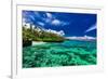 Beach with Coral Reef on South Side of Upolu, Samoa Islands-Martin Valigursky-Framed Photographic Print