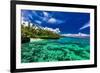 Beach with Coral Reef on South Side of Upolu, Samoa Islands-Martin Valigursky-Framed Photographic Print