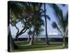 Beach with Cruise Ship off Shore, Kailua-Kona, Island of Hawaii (Big Island), USA-Ethel Davies-Stretched Canvas