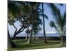 Beach with Cruise Ship off Shore, Kailua-Kona, Island of Hawaii (Big Island), USA-Ethel Davies-Mounted Photographic Print