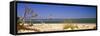 Beach with Lighthouse in the Background, Morris Island Lighthouse, Morris Island, South Carolina-null-Framed Stretched Canvas