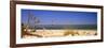 Beach with Lighthouse in the Background, Morris Island Lighthouse, Morris Island, South Carolina-null-Framed Photographic Print