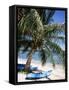 Beach with Palm Tree and Kayak, Punta Soliman, Mayan Riviera, Yucatan Peninsula, Mexico-Nelly Boyd-Framed Stretched Canvas