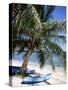 Beach with Palm Tree and Kayak, Punta Soliman, Mayan Riviera, Yucatan Peninsula, Mexico-Nelly Boyd-Stretched Canvas