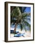 Beach with Palm Tree and Kayak, Punta Soliman, Mayan Riviera, Yucatan Peninsula, Mexico-Nelly Boyd-Framed Photographic Print