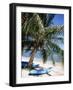 Beach with Palm Tree and Kayak, Punta Soliman, Mayan Riviera, Yucatan Peninsula, Mexico-Nelly Boyd-Framed Photographic Print