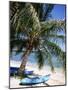 Beach with Palm Tree and Kayak, Punta Soliman, Mayan Riviera, Yucatan Peninsula, Mexico-Nelly Boyd-Mounted Photographic Print