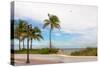 Beach with palm trees and a helicopter in air in Fort Lauderdale, Broward County, Florida, USA-null-Stretched Canvas