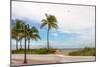 Beach with palm trees and a helicopter in air in Fort Lauderdale, Broward County, Florida, USA-null-Mounted Photographic Print