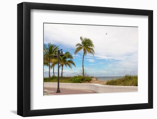 Beach with palm trees and a helicopter in air in Fort Lauderdale, Broward County, Florida, USA-null-Framed Photographic Print