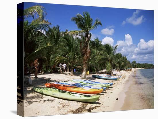 Beach with Palm Trees and Kayaks, Punta Soliman, Mayan Riviera, Yucatan Peninsula, Mexico-Nelly Boyd-Stretched Canvas