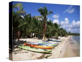 Beach with Palm Trees and Kayaks, Punta Soliman, Mayan Riviera, Yucatan Peninsula, Mexico-Nelly Boyd-Stretched Canvas