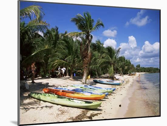 Beach with Palm Trees and Kayaks, Punta Soliman, Mayan Riviera, Yucatan Peninsula, Mexico-Nelly Boyd-Mounted Photographic Print