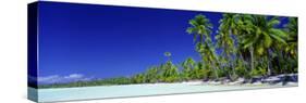 Beach with Palm Trees, Bora Bora, Tahiti-null-Stretched Canvas