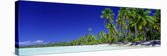 Beach with Palm Trees, Bora Bora, Tahiti-null-Stretched Canvas