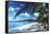 Beach with Palm Trees-Peter Falkner-Framed Stretched Canvas