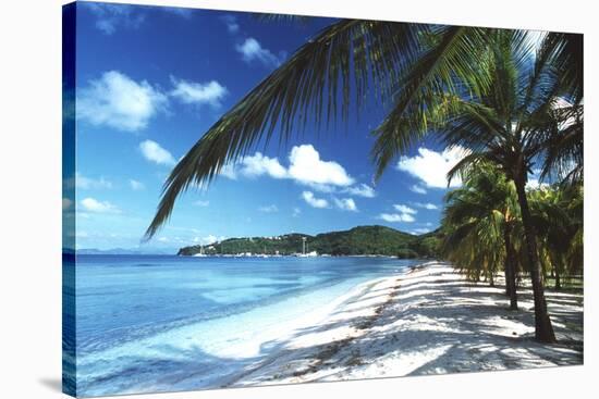 Beach with Palm Trees-Peter Falkner-Stretched Canvas