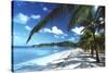 Beach with Palm Trees-Peter Falkner-Stretched Canvas