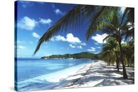 Beach with Palm Trees-Peter Falkner-Stretched Canvas