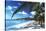 Beach with Palm Trees-Peter Falkner-Stretched Canvas