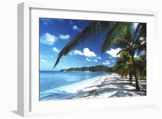 Beach with Palm Trees-Peter Falkner-Framed Photographic Print