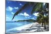 Beach with Palm Trees-Peter Falkner-Mounted Photographic Print