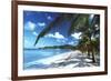 Beach with Palm Trees-Peter Falkner-Framed Photographic Print