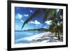 Beach with Palm Trees-Peter Falkner-Framed Photographic Print