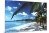 Beach with Palm Trees-Peter Falkner-Mounted Photographic Print