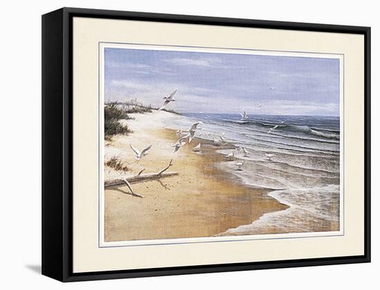 Beach with Seagulla-unknown Chiu-Framed Stretched Canvas