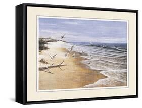 Beach with Seagulla-unknown Chiu-Framed Stretched Canvas