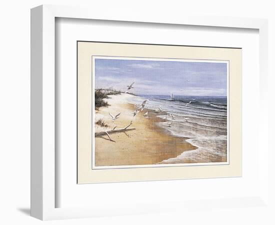 Beach with Seagulla-unknown Chiu-Framed Art Print