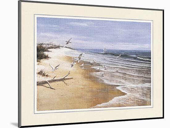 Beach with Seagulla-unknown Chiu-Mounted Art Print