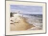 Beach with Seagulla-unknown Chiu-Mounted Art Print