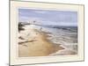 Beach with Seagulla-unknown Chiu-Mounted Art Print