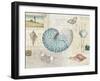 Beach Wonders I-Katie Pertiet-Framed Art Print