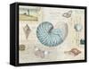 Beach Wonders I-Katie Pertiet-Framed Stretched Canvas