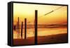 Beach-Pixie Pics-Framed Stretched Canvas