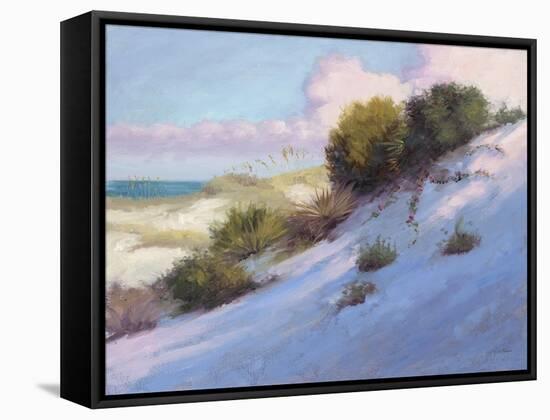 Beach-Jill Schultz McGannon-Framed Stretched Canvas