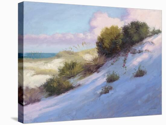 Beach-Jill Schultz McGannon-Stretched Canvas