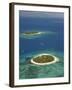 Beachcomber Island Resort and Treasure Island Resort, Mamanuca Islands, Fiji-David Wall-Framed Photographic Print