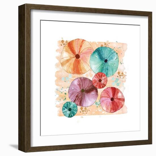 Beachcomber Sea Urchins-Sara Berrenson-Framed Art Print