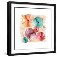 Beachcomber Sea Urchins-Sara Berrenson-Framed Art Print